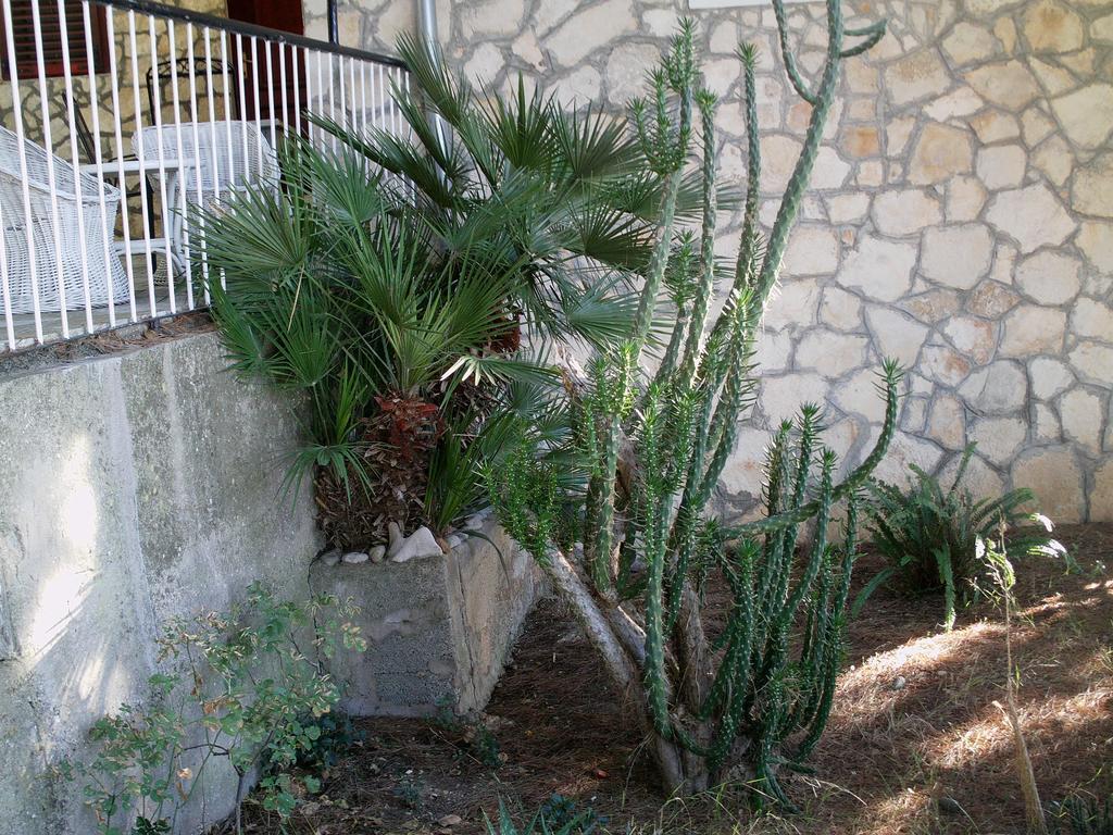 וויס Apartments Elena & Damir מראה חיצוני תמונה