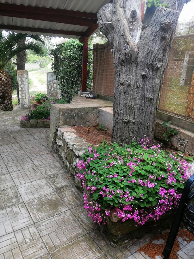 וויס Apartments Elena & Damir מראה חיצוני תמונה
